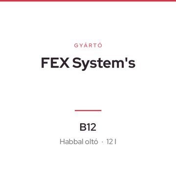FEX System's B12