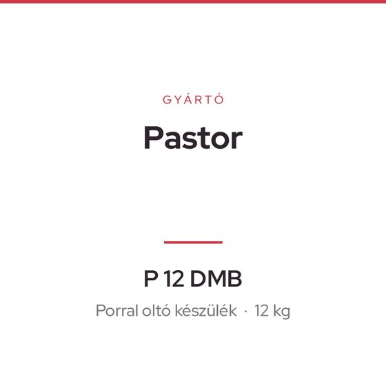 Pastor P 12 DMB