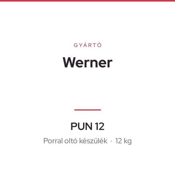 Werner PUN 12