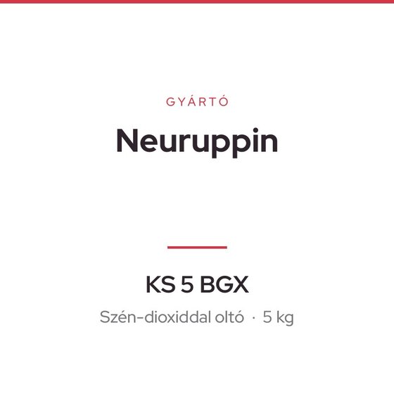 Neuruppin KS 5 BGX