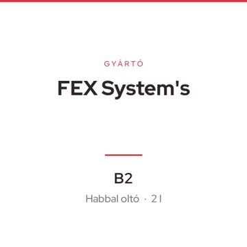 FEX System's B2