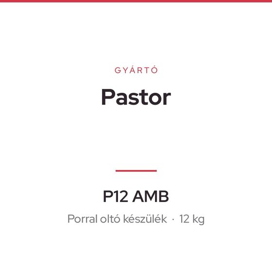 Pastor P12 AMB