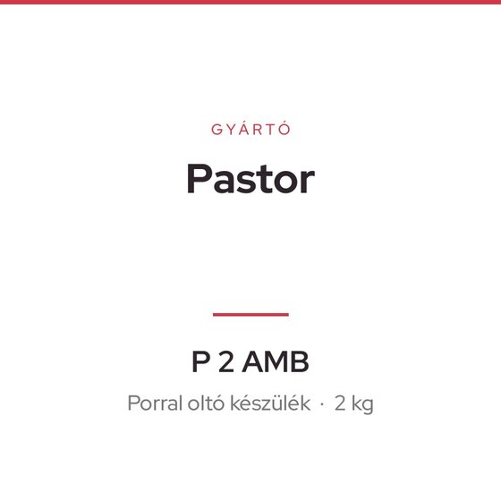 Pastor P 2 AMB
