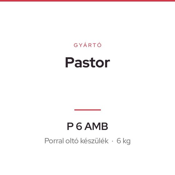 Pastor P 6 AMB