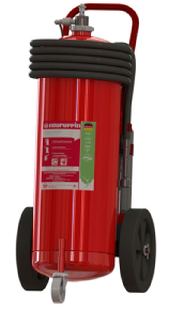 Neuruppin FluorineFree 50 FCC